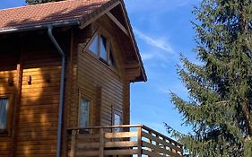 Chalet Mon Beau Sapin lisière de Forêt - Vue montagne - Gerardmer